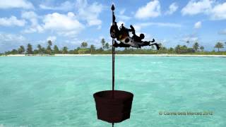 3D Animation: One Piece tattered flag