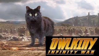 Owlkitty - Infinity War