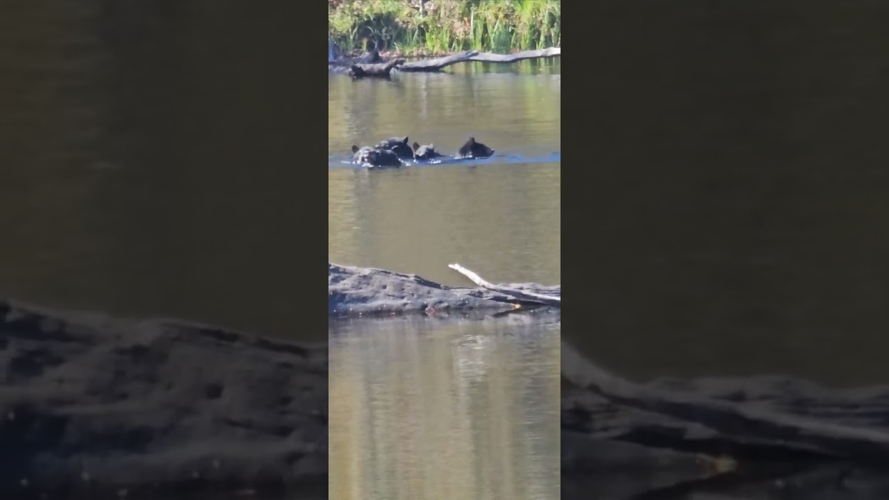 A beautiful day in the Poconos.   I love my job! Part 1