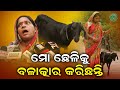 ଶେଷରେ ଛେଳି ସହ ଦୁଷ୍କର୍ମ | Odisha Sanket