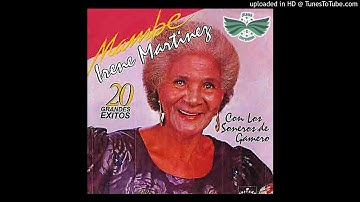 Se va se va - Irene Martinez (Audio HD)