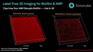 See How AMP Disrupts Biofilm — Label-free 3D live imaging | Tomocube Holotomography