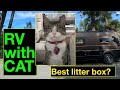 RV with CAT in WINNEBAGO TRAVATO GL Class B RV van. Best litter box for RVers? #Vanlife LUKE