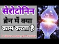        dr jitendra jenger md serotonin depression serotoninfunction