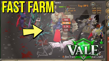 What Happens When You Enter This RSPS Minigame? Vale RSPS