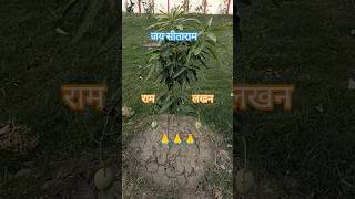 ।। 🙏राम लखन 🙏 ।। #bageshwarbalaji #bageshwardhamsarkar #sitaram #hanuman #bageshwardham
