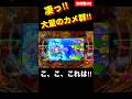 【海物語3R2】まさかのカメ群発生‼︎ #海物語3r2 #パチンコ