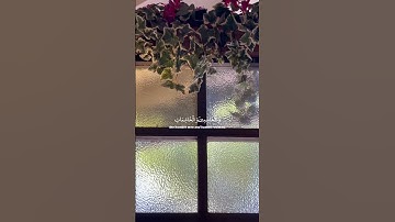 اكتبو شيئ تؤجرون عليه 💛🤍💛 سورة: الأحزاب - القارئ: أحمد العجمي