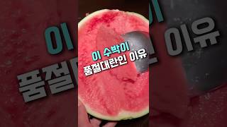 호텔 백화점 납품하는 고당도 프리미엄 흑수박!! 동나기전에 주문하세요 #수박#꿀수박#고당도수박#과일#여름과일#씨없는수박#호텔과일#백화점과일