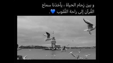 (تبارك الذي جعل في السماء بروجاً ) حسام الدين عبادي | سورة الفرقان