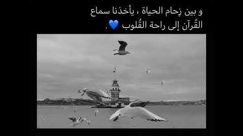 (تبارك الذي جعل في السماء بروجاً ) حسام الدين عبادي | سورة الفرقان