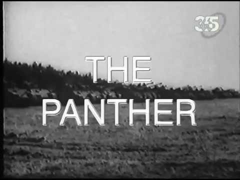 Танк Пантера PzKpfw V Panther