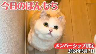 【特別公開】この動画は5月7日にメンバー限定で公開した動画です