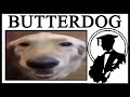 Why Is Butterdog Important?