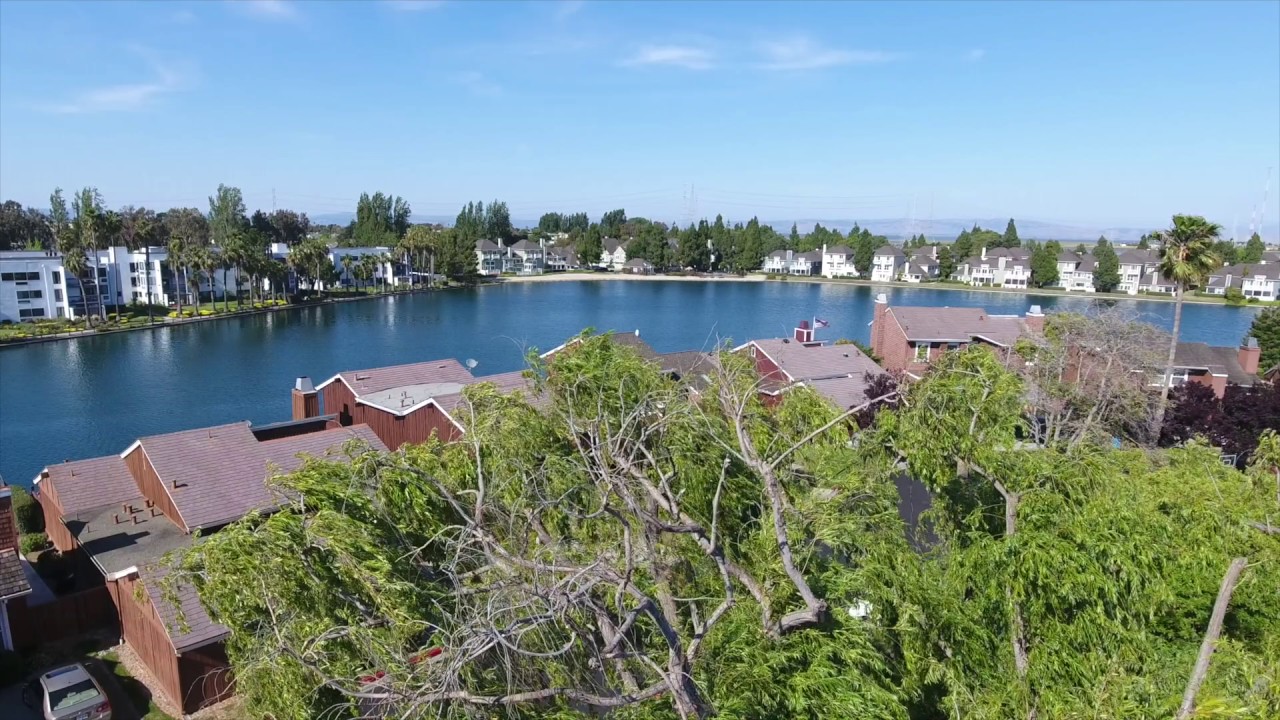 943 Aruba Lane, Foster City | Que Foor of Alain Pinel Realtors area of a trapezoid
