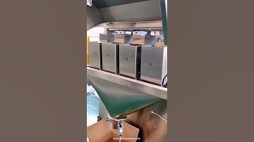 Linear weighing type 4 heads granule bean rice weighing filling machine