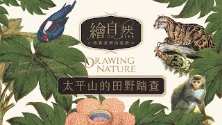 「繪自然-博物畫裡的臺灣特展」 ：太平山的田野踏查