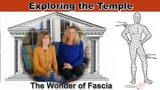 The Wonder Of Fascia Our Bodies Uncovered With Justine & Sherry