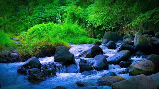 Definitely sleep soundly with sound of mountain streams, Relaxing River Sounds that soothes the soul