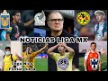 LAINEZ CERCA DE TIGRES, KEVIN ALVAREZ AL AMERICA? LOCO BIELSA A SELECCIÓN? | NOTICIAS LIGA MX.