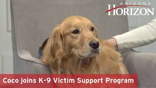 New addition to K-9 Victim Support Program brings comfort to the courtroom