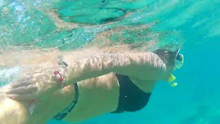 Woman snorkeling shallow reef