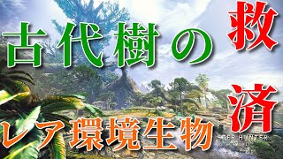 Mhwi 検証 イベクエでレア環境生物が出やすいの知ってる Part 3 古代樹の森編 モンスターハンターワールド アイスボーン Youtube