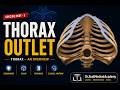 Anatomy of Thoracic Outlet & Diaphragm | Major Openings & Clinical Aspects with Mnemonics | Part 3