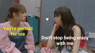 Dodaeng Dont Stop Were Perfect Being Crazy