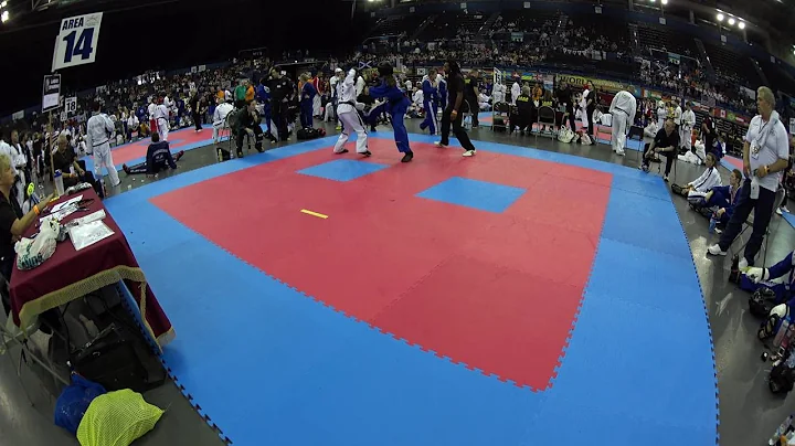 2016 Taekwondo International World Championships A...