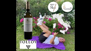 Pinot Grigio Alto Adige 2020 von Tolloy bei Cantina24