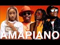 🔥Amapiano Mix 2024|Naija&Ghana|The Best of & Amapiano #16 by Dj Bright🔥#amapiano  #amapianomix2024