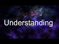 Understanding Insight  The Second Dialogue