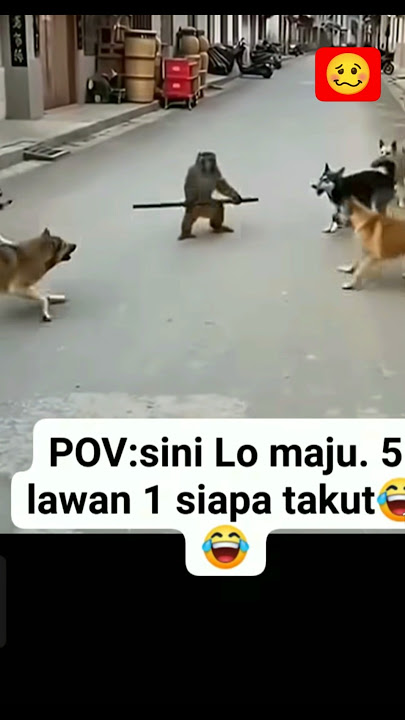 WDUH😱#shortsvideo #videoshorts #shorts #short #shortsfeed #berandashorts #berandayoutube #lucungakak