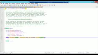 Apache Tomcat Manager User