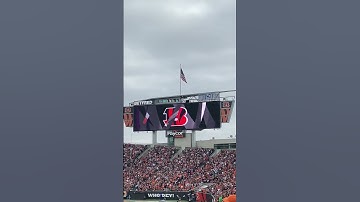 Thumbnail of Deshaun Watson Run @browns at @Bengals @NFL Week 14, 2022 #battleofohio