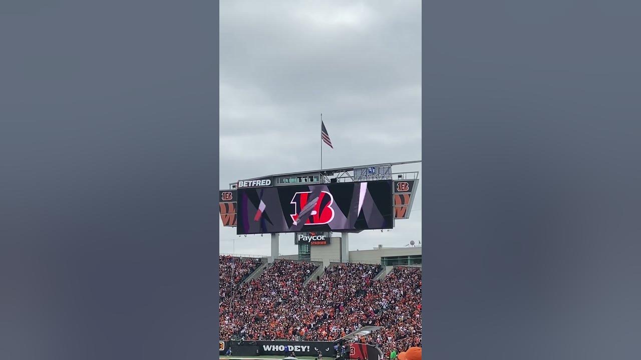 Deshaun Watson Run @browns at @Bengals @NFL Week 14, 2022 #battleofohio