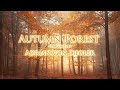 2 hours of relaxing celtic music  autumn forest