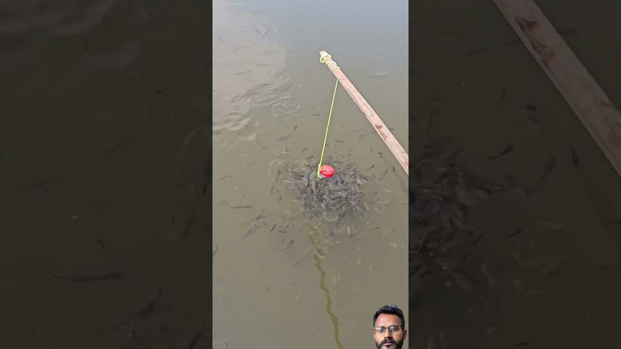 #mancingmania #mancing #fishing #ikan