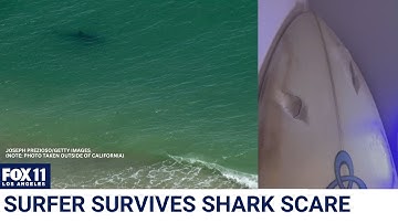 Surfer survives shark encounter just off Orange County coast