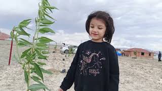 Her Babanın Bir Kızı Olmalı.