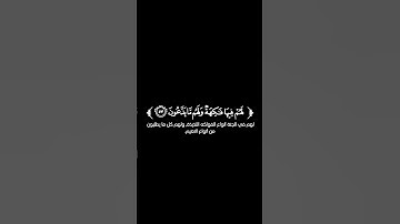 كروما شاشة سوداء قرآن كريم تلاوة من سورة يس القارئ عمر عبدالله