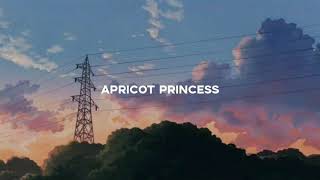 apricot princess (opening) - rex orange county 1 hour