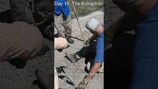 White River Badlands. Day 10: The Extraction #paleoanalysis #fossilnerdadventures #shorts