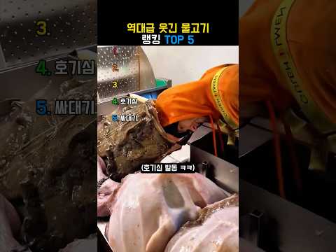 역대급 웃긴 물고기 랭킹 TOP 5 thumbnail