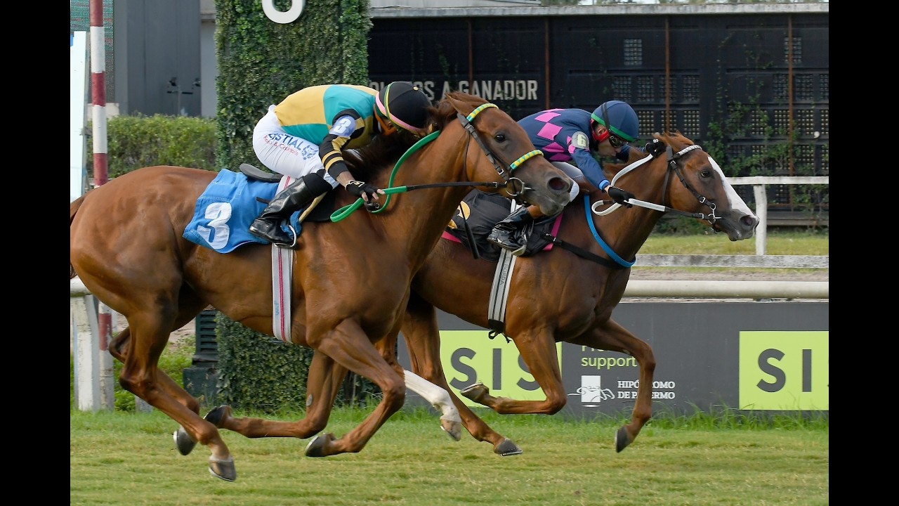 Clásico Roberto Pellegatta 2026 - La Tasmania (Mask)