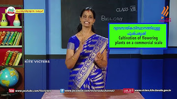KITE VICTERS STD 08 Biology Class 13 (First Bell-ഫസ്റ്റ് ബെല്‍)