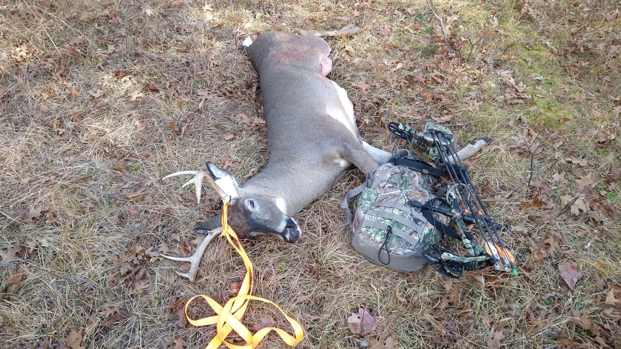 Michigan Early Archery Season 2024 with Public Land 7 point
