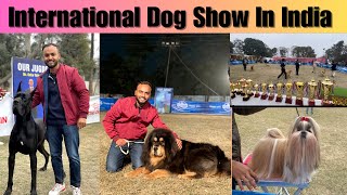 International Dog Show In India🇮🇳😱 || Karnal Dog Show 2024 ||