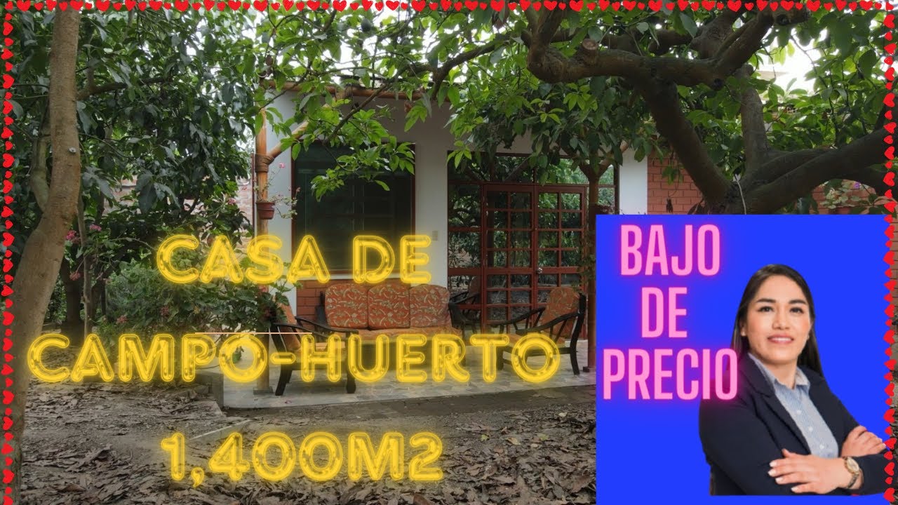 🎯HUARAL Venta Casa de Campo🌱Huerto 1,400m2🏡 YouTube